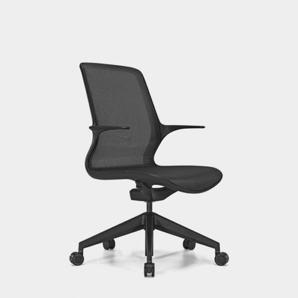 Eliphalet ergonomic deals task chair